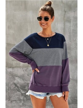 Purple Color Block Round Neck Casual Sweatshirt