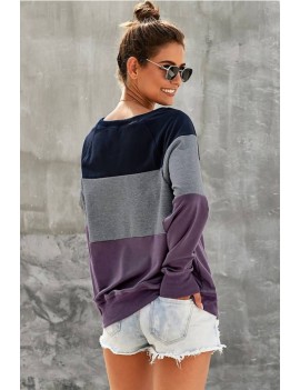Purple Color Block Round Neck Casual Sweatshirt